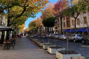 a street with trees and cars parked on the street at Apartamentos Concepción Centro in Concepción