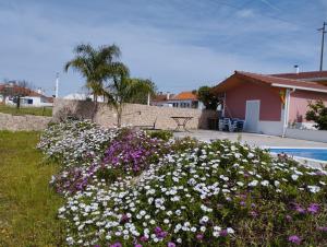 einen Blumengarten vor einem Haus in der Unterkunft Quinta da Fonte 