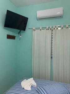 a bedroom with a bed with a tv on the wall at Pousada Morada dos Pássaros in Caraguatatuba