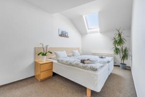 a bedroom with a white bed with a dog on it at Apartmány Rozárka Turnov in Turnov