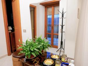 een tafel met planten op een kamer bij Alloggio turistico appartamento casa Le Magnolie presso Magicland e Magicsplash in Paliano