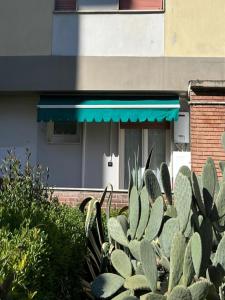 un groupe de cactus devant un bâtiment dans l'établissement La Papera Sciocca, à La Spezia