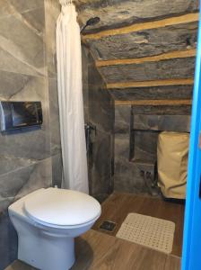 a bathroom with a toilet and a shower at Il Hnejja Farmhouse in Mqabba