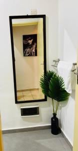 een badkamer met een spiegel en een potplant bij Appartement ethnique cosy in Douala