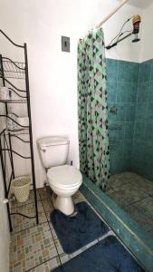 a bathroom with a toilet and a shower at Apartment in Colonia Molina in Quetzaltenango