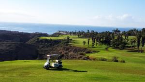 聖米格爾德阿沃納的住宿－La Vista Preciosa，停在高尔夫球场上的高尔夫球车