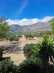 a desert with trees and mountains in the background at Melissa Apartments in Frangokastello