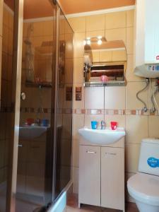 a bathroom with a shower and a sink and a toilet at Całoroczny Domek Dwukondygnacyjny in Baligród