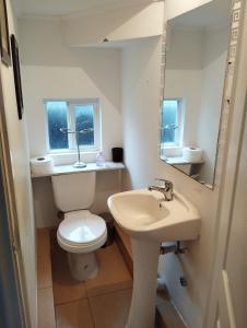 ein Badezimmer mit einem WC, einem Waschbecken und einem Spiegel in der Unterkunft Casa 3 dormitorios 3 baños Osorno in Osorno