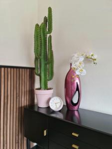 a table with a vase and a cactus and a clock at Lazy Olives in Tongeren