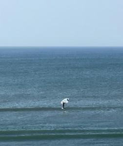 een persoon in de oceaan met een paraplu bij Family Surf Chicama in Puerto Chicama