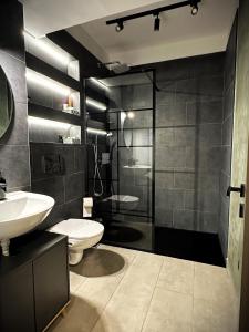 y baño con aseo, lavabo y ducha. en Cremene Tower, en Cluj-Napoca