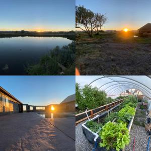 a collage of photos of a garden and the sunset at Neon Cowboy Roadhouse at Hunters Hot Springs in Lakeview