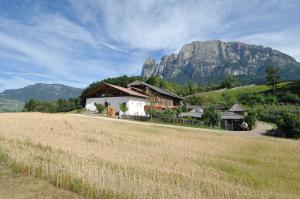 a house in a field with a mountain in the background at Salmsein Biohof in Fiè