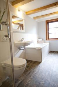 ein Bad mit einem WC und einem Waschbecken in der Unterkunft Pension Alte Schmiede in Zabeltitz