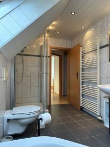 a bathroom with a toilet and a sink at Casita grün in Worms +17 photos