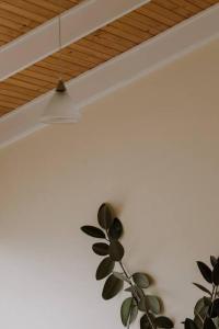 Gallery image of Amarela Haus - Calming Retreat within Oceans Reach in Cape Woolamai