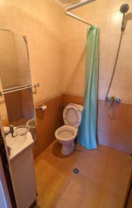a bathroom with a toilet and a shower and a sink at Arode Nature Villa Bellevue in Katselovo