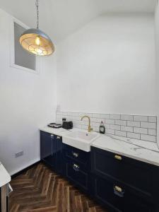 a kitchen with blue cabinets and a sink at Charming House in City Centre in Dublin