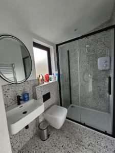 a bathroom with a toilet and a sink and a shower at Charming House in City Centre in Dublin +1 photo
