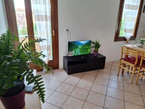 ein Wohnzimmer mit einem TV und einem Tisch mit Pflanzen in der Unterkunft Casa Ida in Scaltenigo