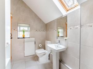 ein Bad mit einem WC und einem Waschbecken in der Unterkunft Bumpers Stable in Derwydd