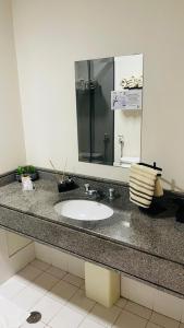 聖保羅的住宿－Flat de Luxo Aeroporto Congonhas - Hotel eSuites，浴室的柜台设有水槽和镜子