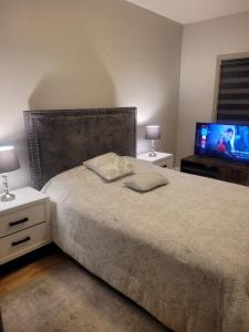 a bedroom with a bed and a flat screen tv at Wissem in Edmonton