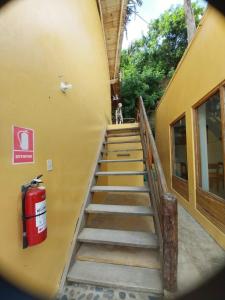 Habitaciones en Vichayito في فيشايتو: درج وكلب واقف فوق المبنى