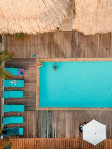 una vista aérea de una persona nadando en una piscina en Hotel Isabella Tayrona en Los Naranjos