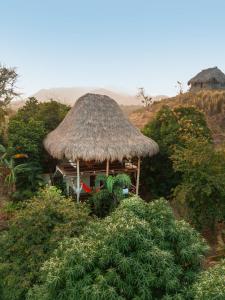 une petite cabane avec un toit de paille sur une colline dans l'établissement Hotel Isabella Tayrona, à Los Naranjos
