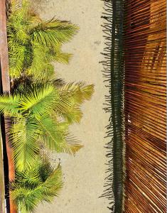 Fotografie z fotogalerie ubytování Ecoco Holbox - EcoChic - Cabañas de Madera - Holbox Retreat v destinaci Ostrov Holbox
