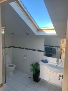 łazienka z umywalką, toaletą i oknem dachowym w obiekcie Aspiringlofts w mieście Wanaka