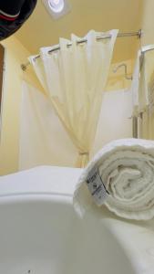 a white toilet in a room with a roll of toilet paper at Travelors Lodge Motel & RV Park US-287&US-96 in Eads