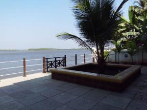 a palm tree sitting next to a body of water at WOODEN CHALET ON THE RIVER BANKS in Old Goa