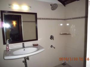 ein Bad mit einem Waschbecken und einem Spiegel in der Unterkunft WOODEN CHALET ON THE RIVER BANKS in Velha Goa