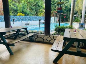 - deux tables de pique-nique en face d'une piscine dans l'établissement Hostal Luz de Luna, à Palomino