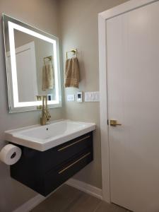 a bathroom with a sink and a mirror at Wrigley 2 bedroom 2 bath with free parking & yard! in Chicago