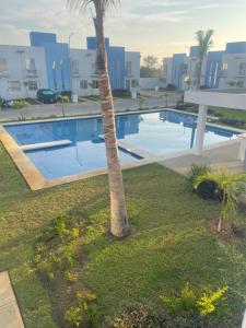 un palmier en face d'une piscine dans l'établissement Casa Regina, à Gallinero