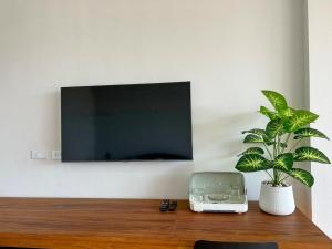 un televisor en una pared con una pecera y una planta en idyllic apartment en Chaweng