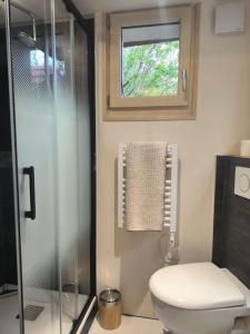 een badkamer met een toilet en een douche met een raam bij ô vive studio in Monnetier-Mornex