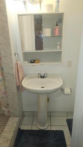 ein Badezimmer mit einem weißen Waschbecken und einem Spiegel in der Unterkunft Spacious Suite 1 BR Independent Near Toronto YYZ Airport in Mississauga