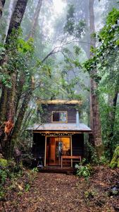 a small cabin in the middle of a forest at Cabaña Alto del Bosque in Coñaripe
