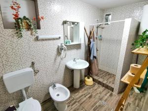 a bathroom with a shower and a toilet and a sink at Vila lac lll in Năvodari