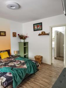 1 dormitorio con 1 cama en una habitación en Vila lac lll, en Năvodari