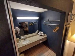 a bathroom with a sink and a mirror at OSU 2 Queen Beds Hotel Room 214 Wi-Fi Hot Tub in Stillwater