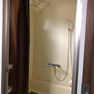 een douche in een badkamer met een douchegordijn bij AVAHOUSE アバハウス in Miyako Island