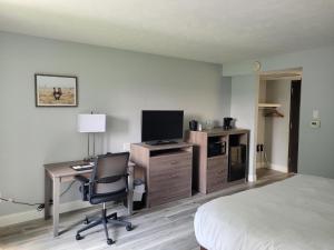 Habitación de hotel con escritorio, cama y silla en Evergreen Resort, en Cadillac