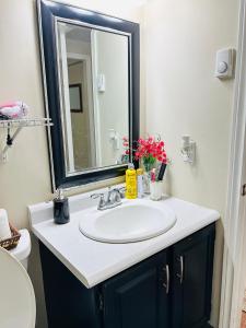 a bathroom with a sink and a mirror at Basement unit with 2 bedrooms, bath and living area in Lower Sackville