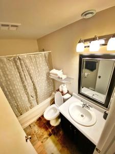 ein Badezimmer mit einem Waschbecken, einem WC und einem Spiegel in der Unterkunft Basement unit with 2 bedrooms, bath and living area in Lower Sackville
